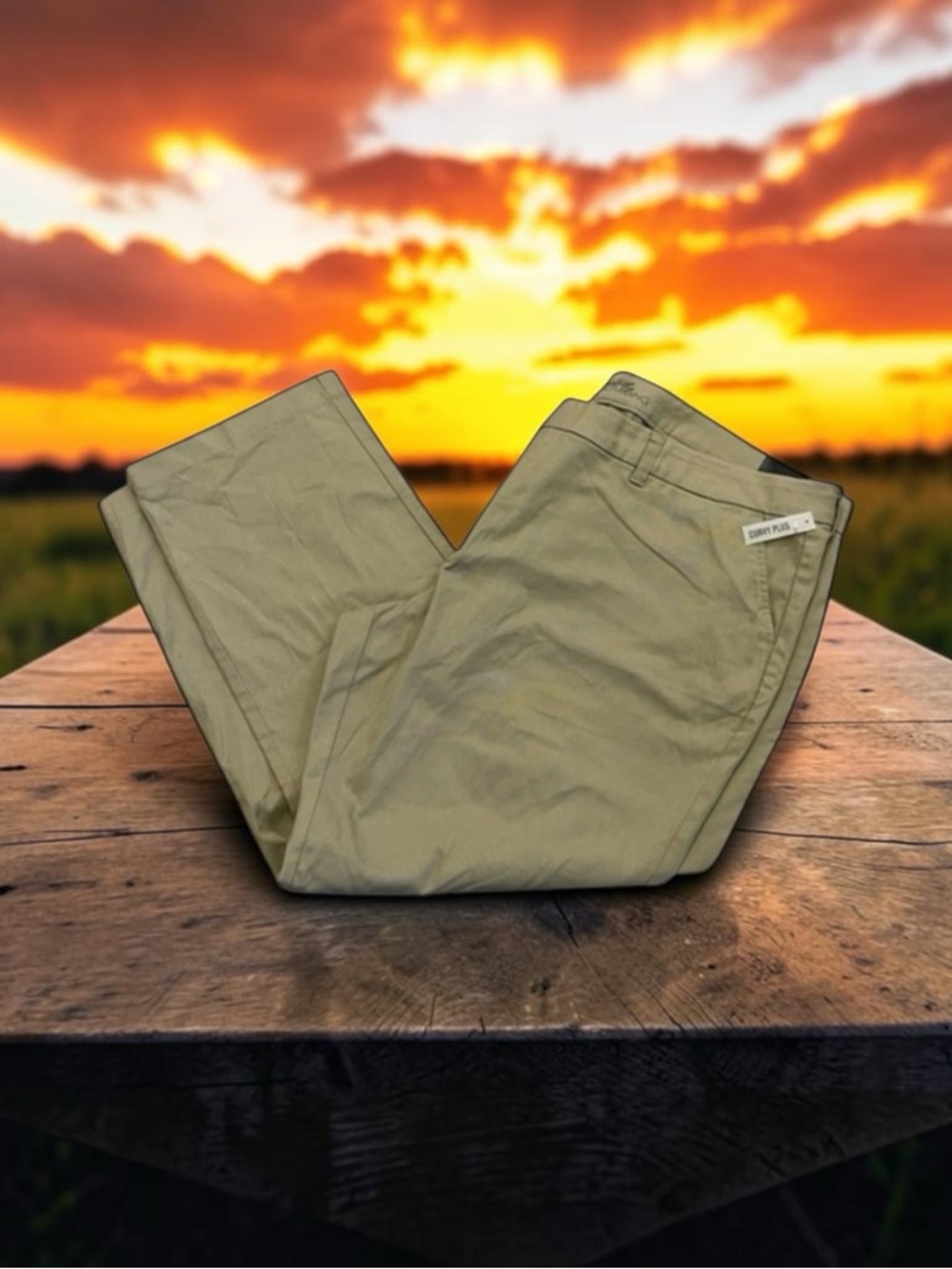 Dickies Curvy Plus Perfectly Slimming Pants